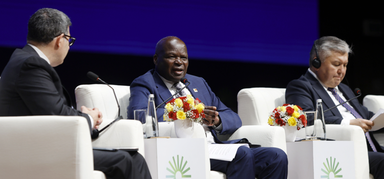 Screenshot 2026 02 19 114418