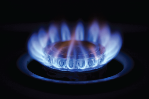 CITY GAS DISTRIBUTION ZONE