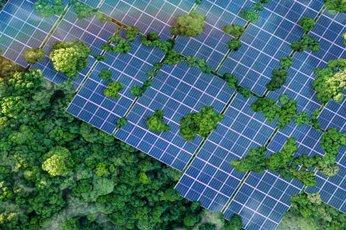India Net Zero